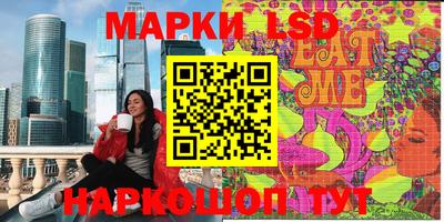 гашик Будённовск