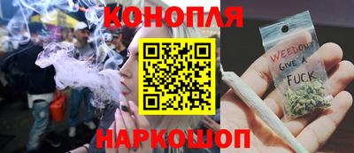 гашик Будённовск