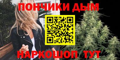 гашик Будённовск