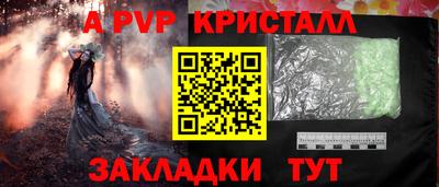 гашик Будённовск