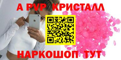 гашик Будённовск