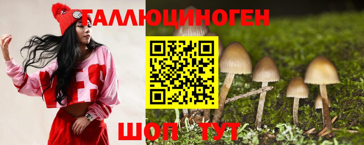 Галлюциногенные грибы Cubensis Луховицы